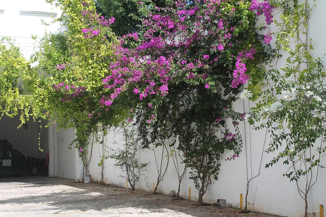 Casa Luna Playa del Carmen Apartmán